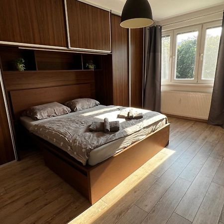 Industrial Apartment I 24Hr Self Check-In I Free Parking & Coffee บันสกาบิสตรีตซา ภายนอก รูปภาพ